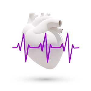 Cardiovascular Icon